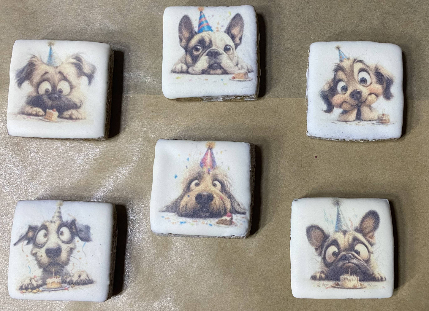 Birthday Bark Tackle Box - Dog Treat
