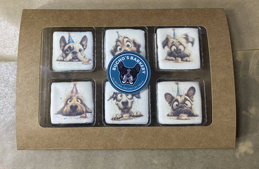 Birthday Bark Tackle Box - Dog Treat