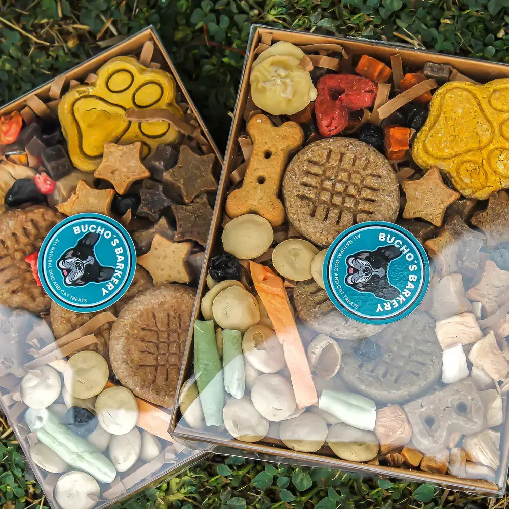 Barkuterie Box - Dog Treats