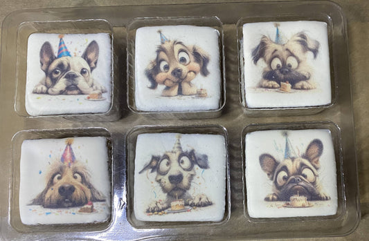 Birthday Bark Tackle Box - Dog Treat